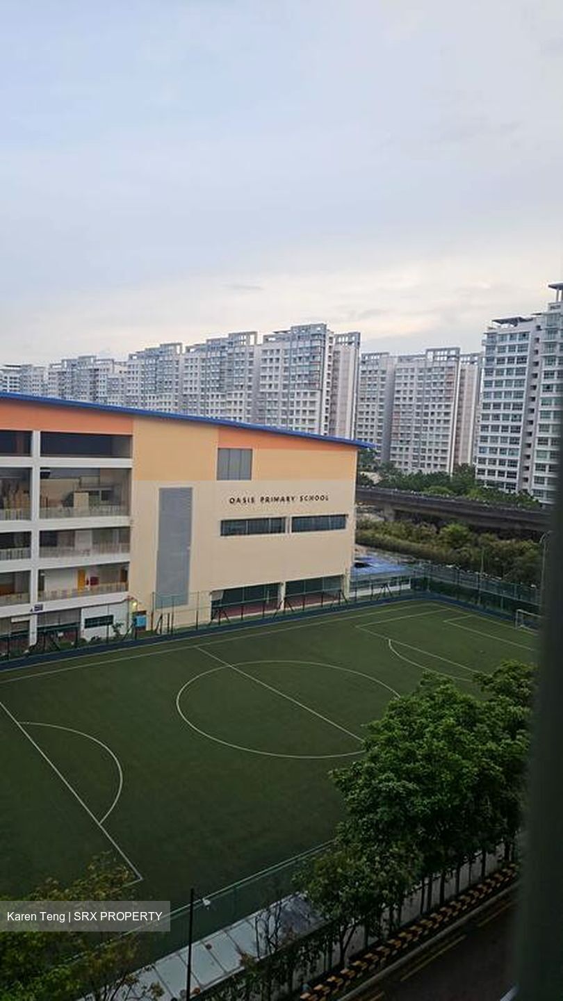 Blk 676B Punggol Drive (Punggol), HDB 4 Rooms #519915021